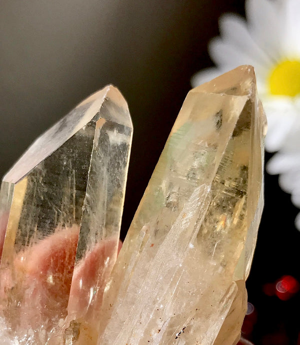 Citrine: November’s Birthstone and Its Healing Powers